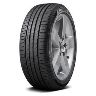 205/55R17 FORCELAND F22 VITALITY 95W