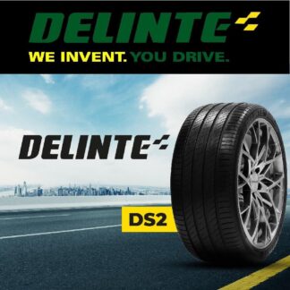 295/35R20 DELINTE DS2 105Y
